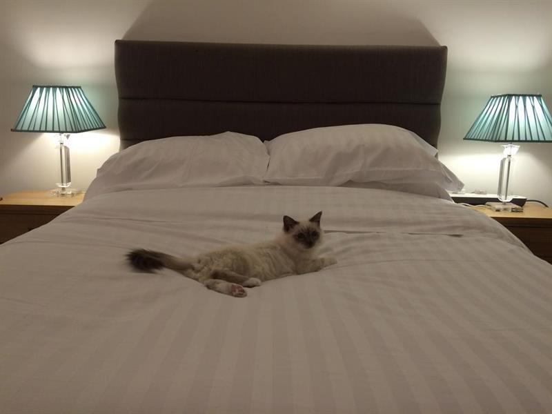 Oyo Oakcroft Guest House Manchester Airport Ringway Ngoại thất bức ảnh
